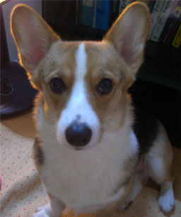 �A�b�v�������܂���